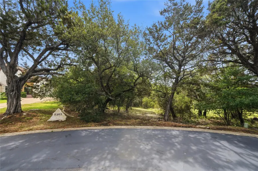 7301 Matisse Pointe Dr, Jonestown, TX 78645 - #3