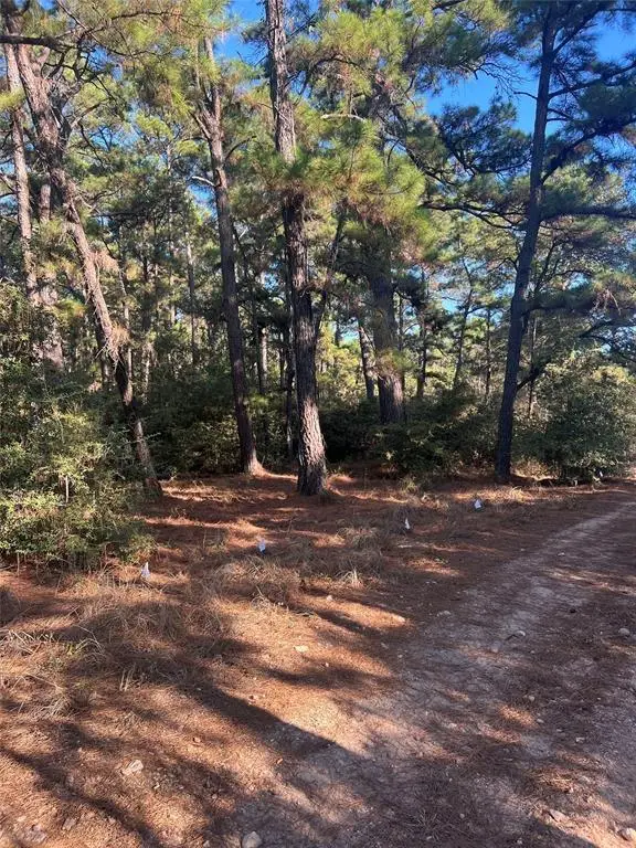 Lot 43 Pine Lodge Dr, Bastrop, TX 78602 - #1