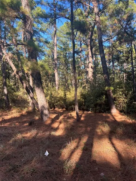 Lot 43 Pine Lodge Dr, Bastrop, TX 78602 - #3