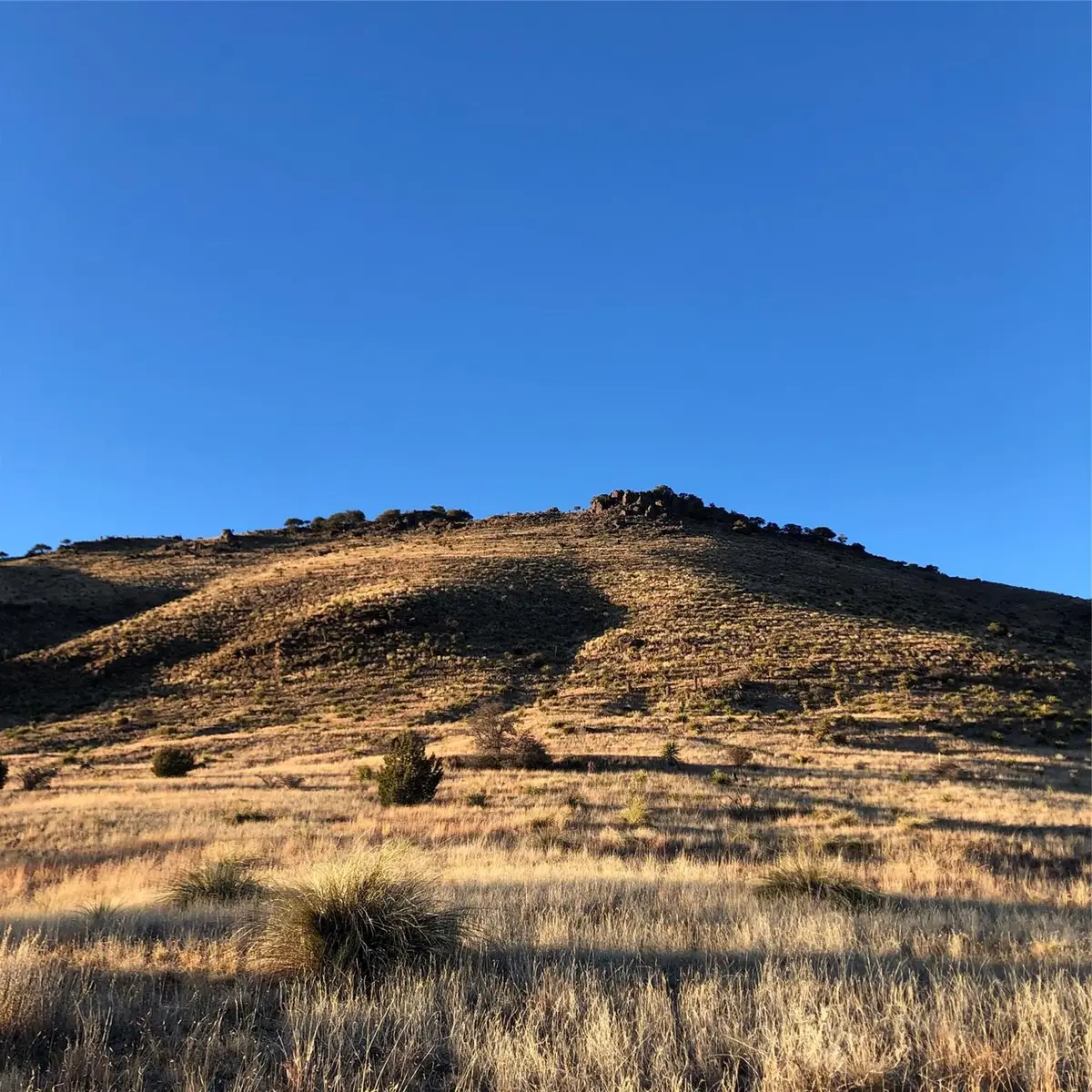 105 Tomahawk Dr, Fort Davis, TX 79734 - Image #1