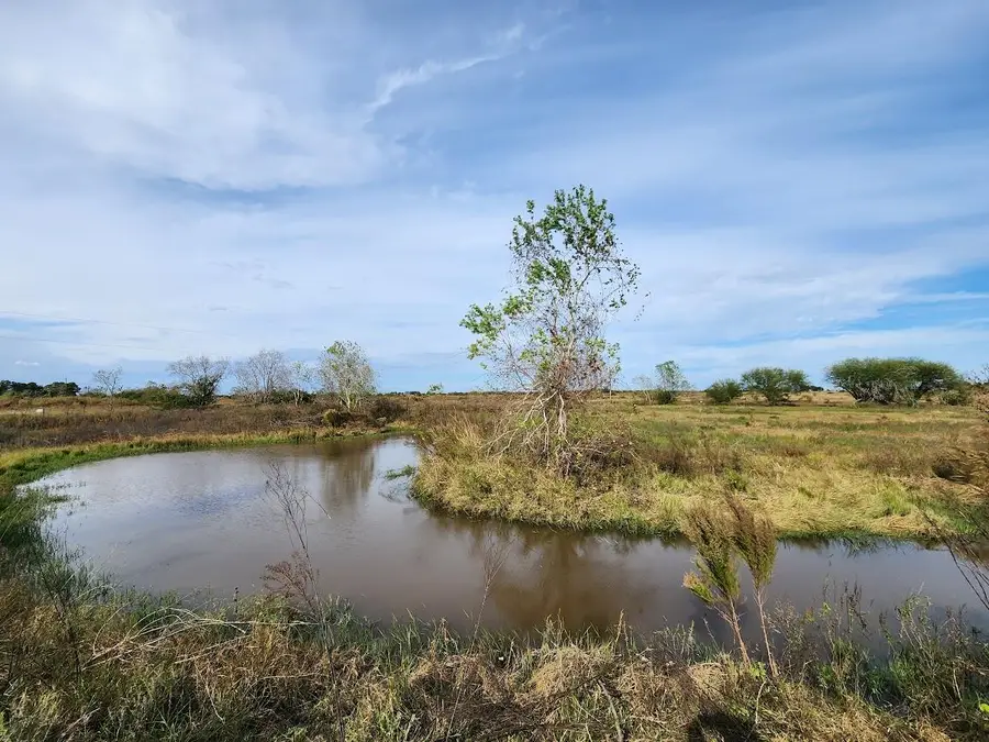 5632 Fm-1094, Sealy, TX 77474 - Image #3