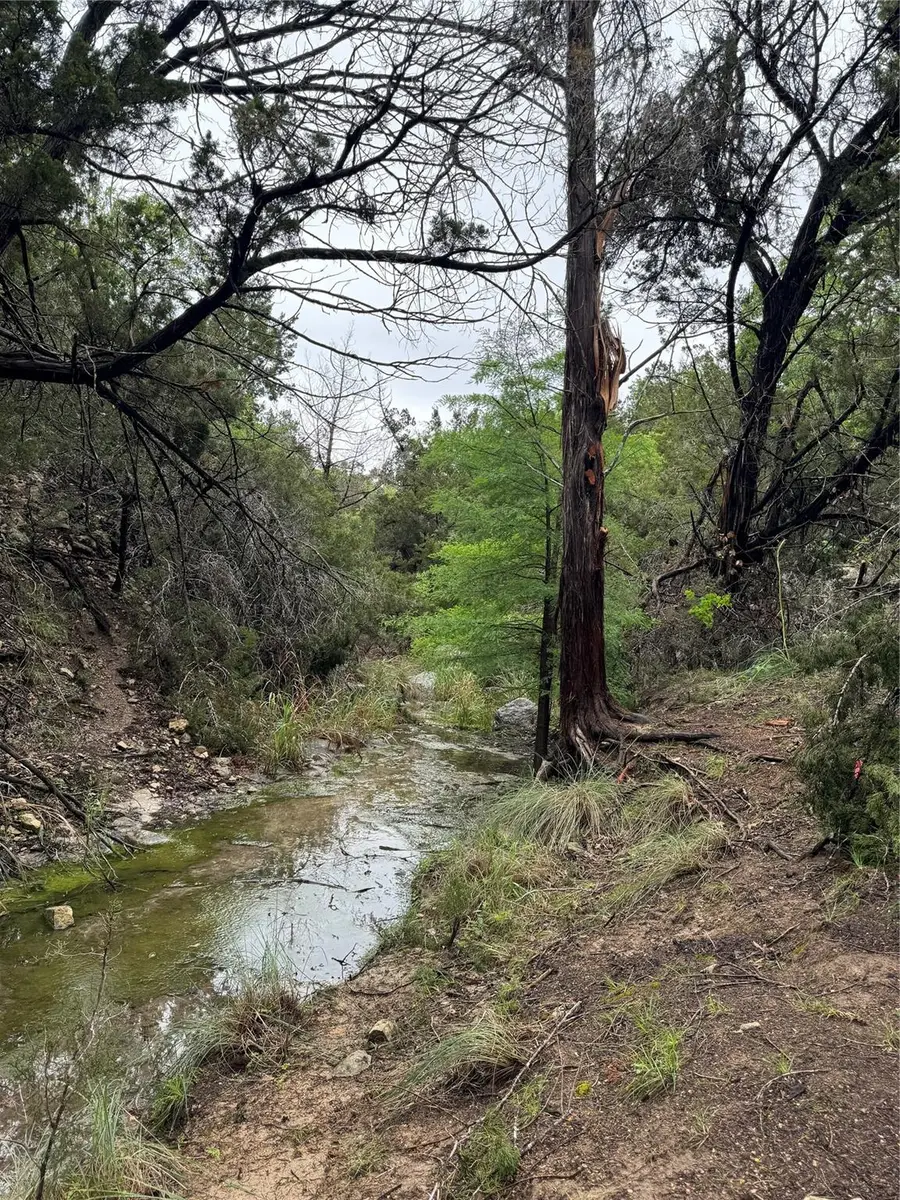 N/A Windy Hills Rd, Dripping Springs, TX 78620 - #3