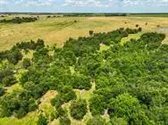Tract 1 - 75 Acres County Road 419, Taylor, TX 76574 - #3