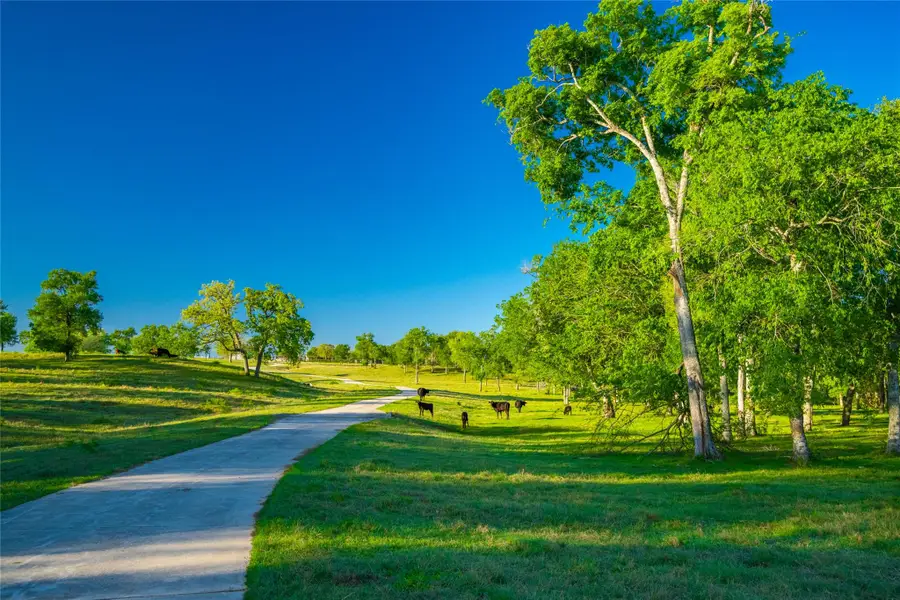 0 Highway 90, Northeast Guadalupe, TX 78638 - Image #2