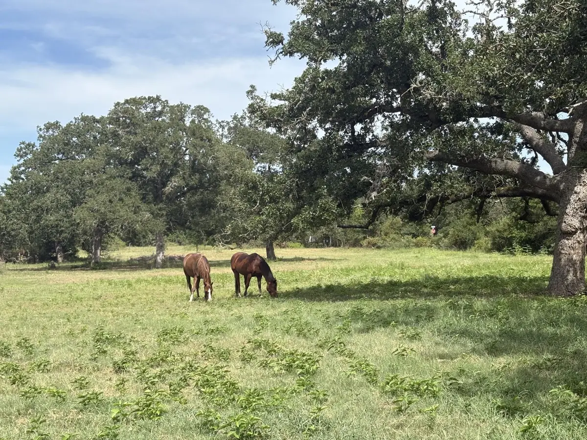 1430 Antioch Rd, Paige, TX 78659 - Image #1