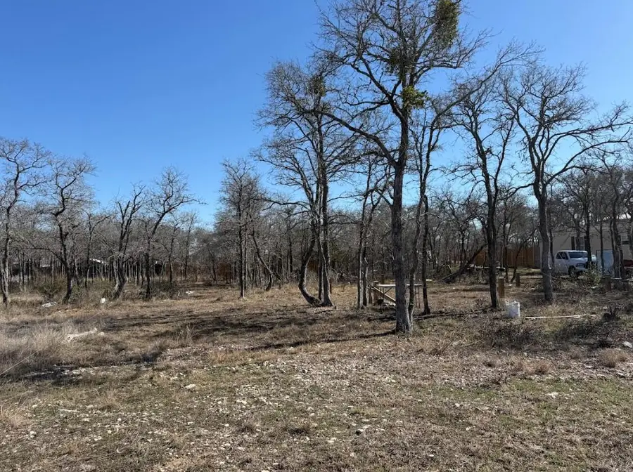 121 Pink Dahlia Dr, Dale, TX 78616 - #2