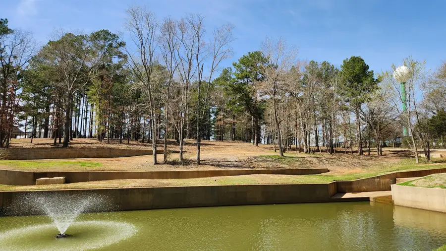 22540 County Road 1174, Bullard, TX 75757 - #2