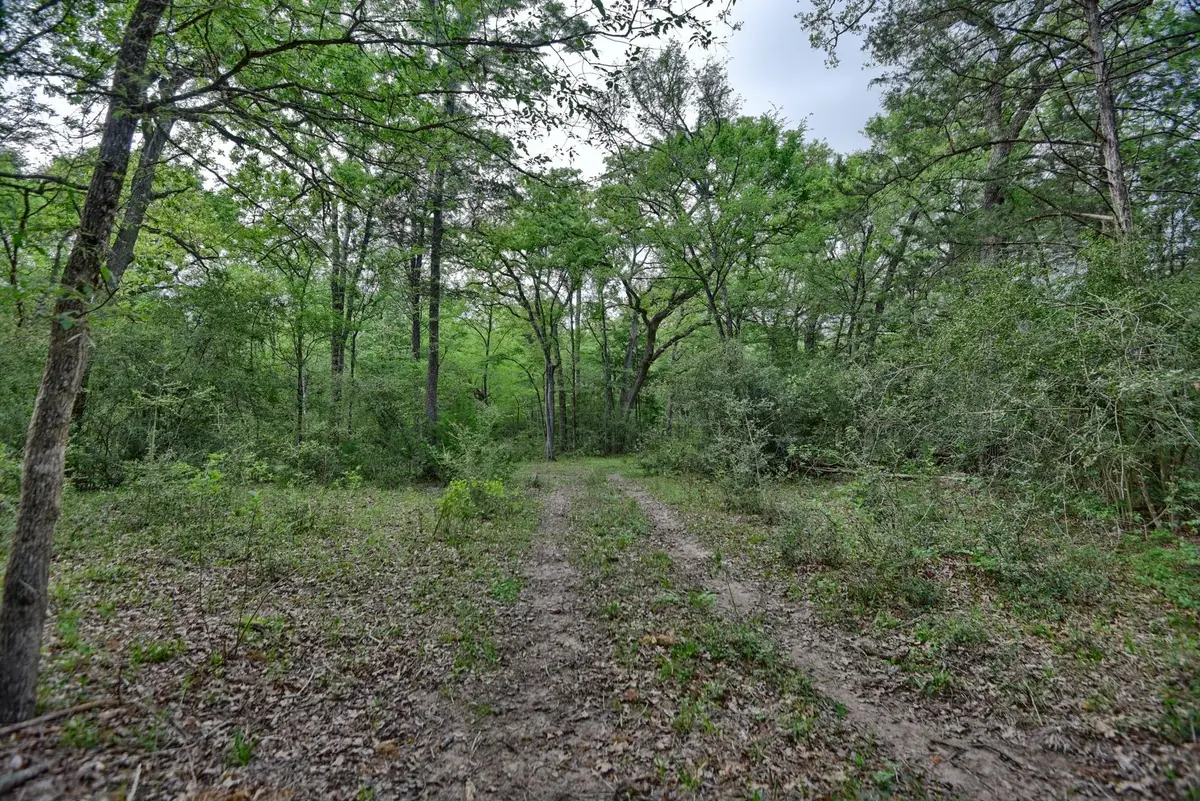 TBD (43.65 Acres) County Road 126, Caldwell, TX 77836 - Image #1
