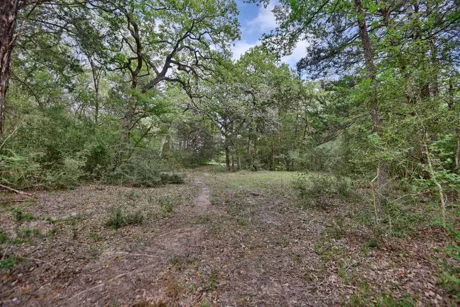 TBD (43.65 Acres) County Road 126, Caldwell, TX 77836 - Image #2