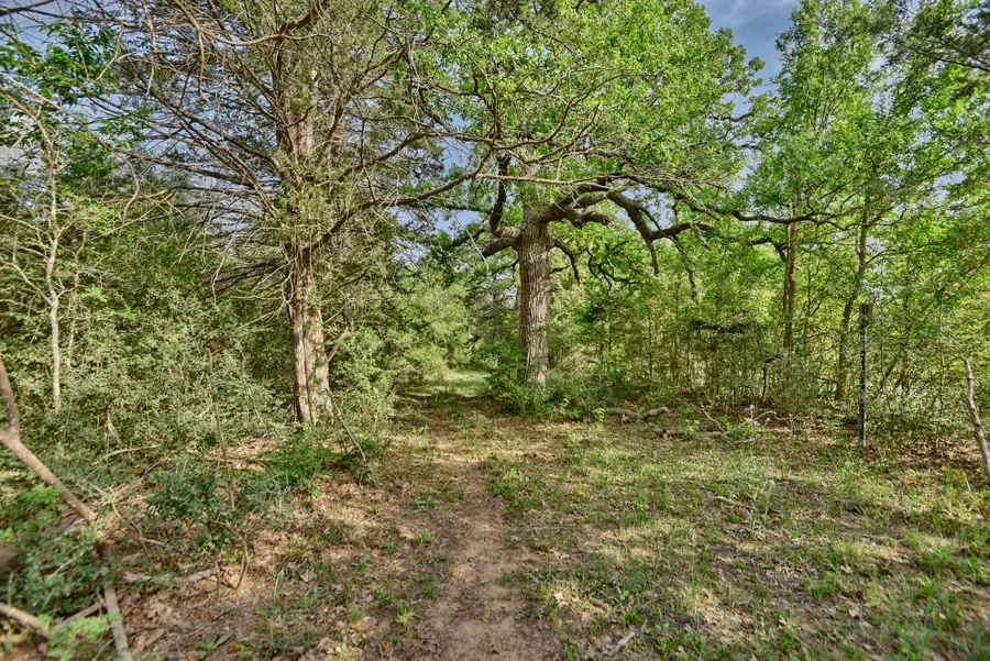 TBD (43.65 Acres) County Road 126, Caldwell, TX 77836 - Image #3