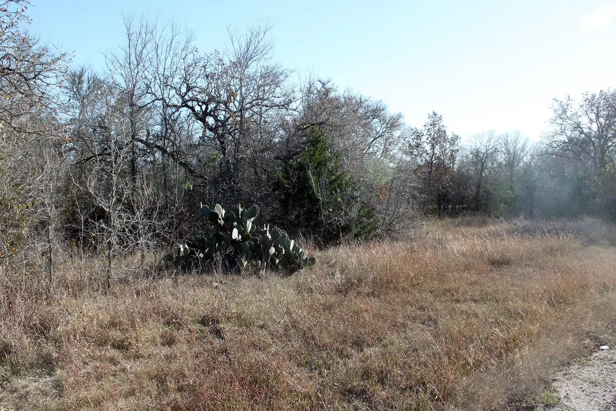 100 Track Road Highway, Dale, TX 78616 - Image #1