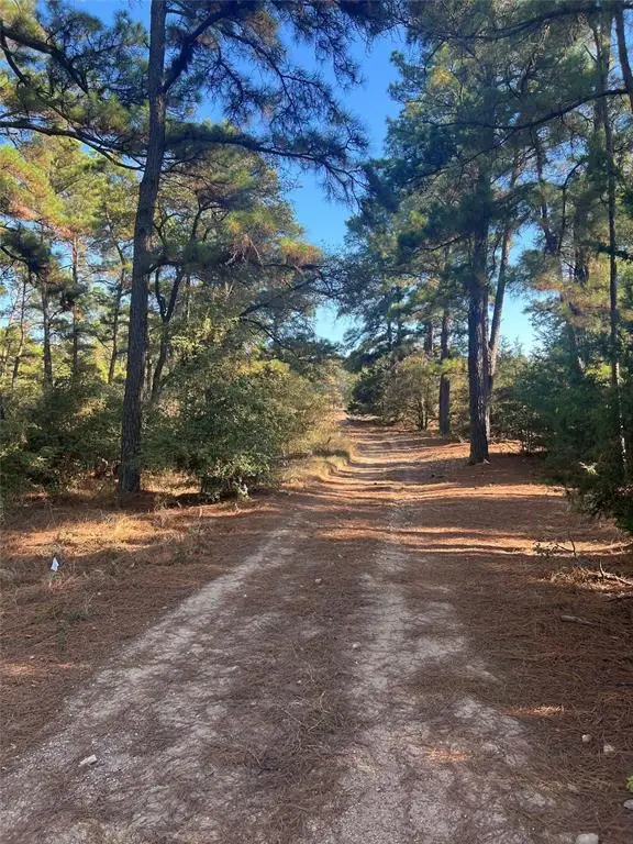 TBD Pine Lodge Dr, Bastrop, TX 78602 - #1