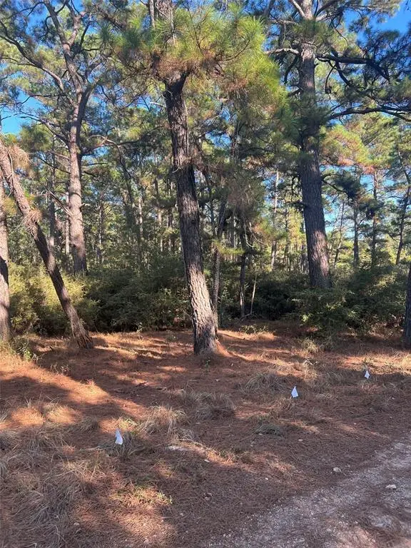 TBD Pine Lodge Dr, Bastrop, TX 78602 - #2