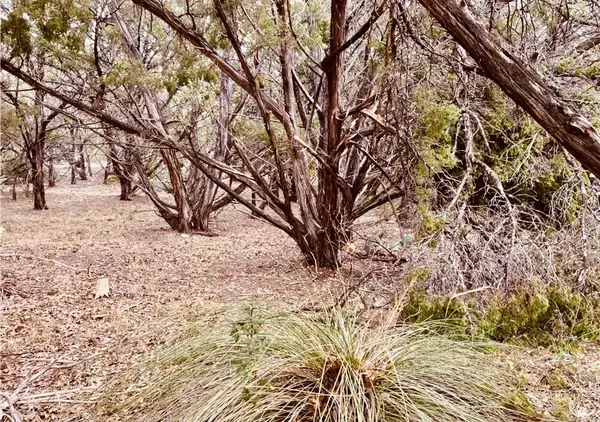 8300 Chestnut Cv, Leander, TX 78645