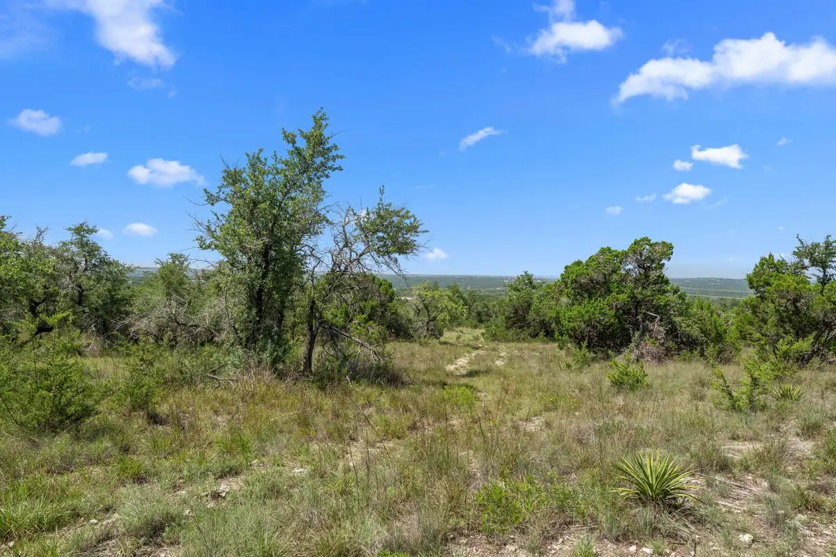 31842 Mirela Ann Rd, Dripping Springs, TX 78620 - Image #1