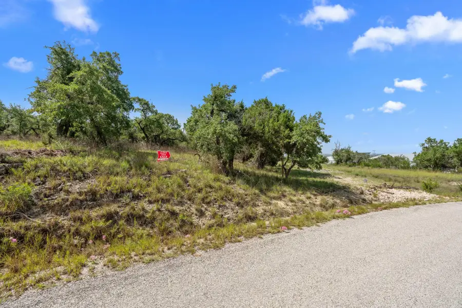 31842 Mirela Ann Rd, Dripping Springs, TX 78620 - Image #3