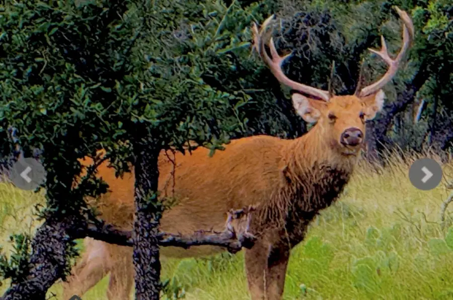 14410 E Us Highway 190, Fort McKavett, TX 76841 - Image #3