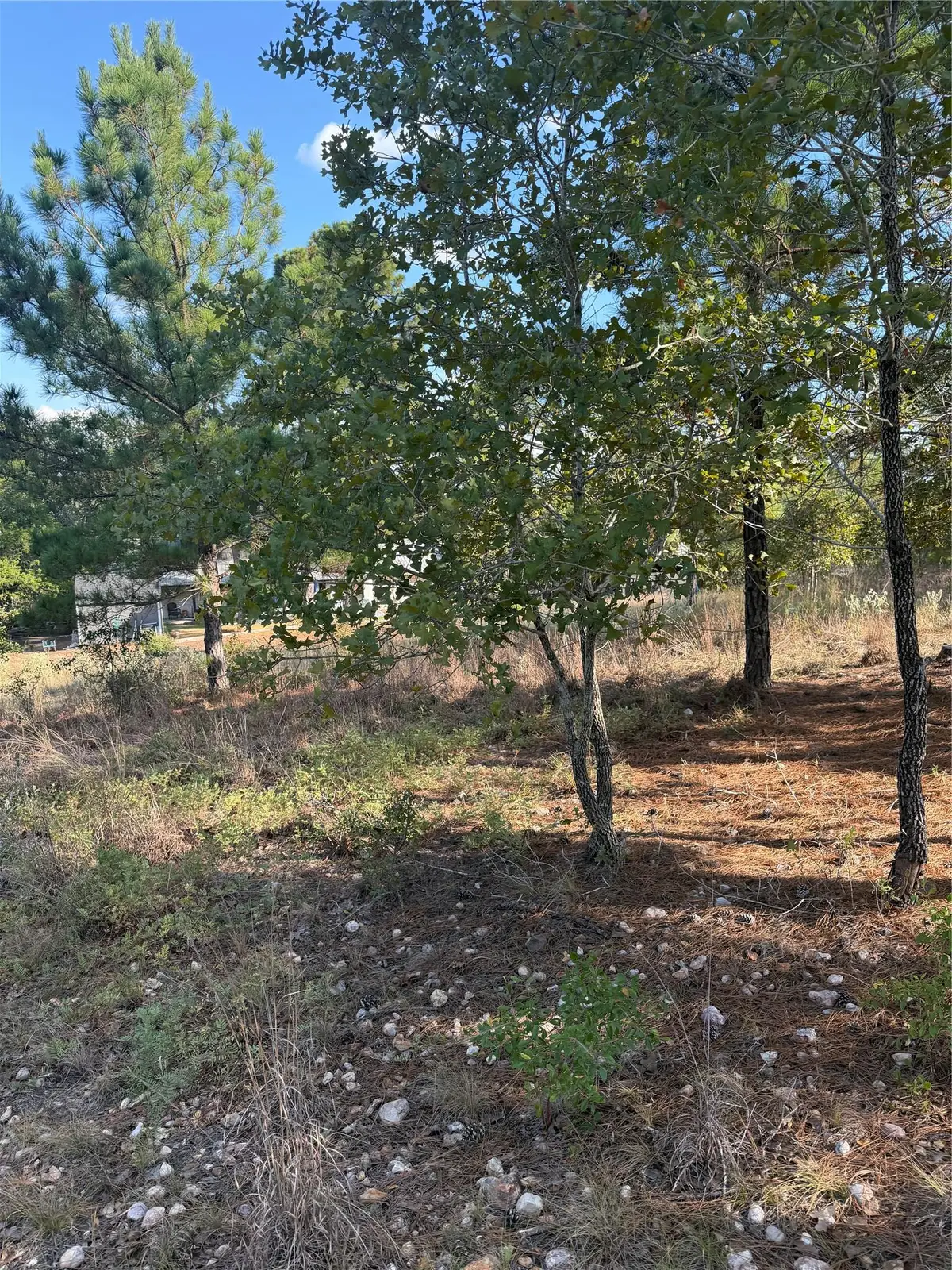 Lot 702 Oahu Ct, Bastrop, TX 78602 - #1
