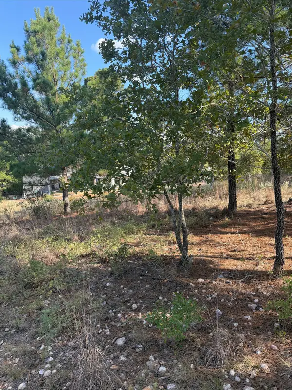 Lot 702 Oahu Ct, Bastrop, TX 78602