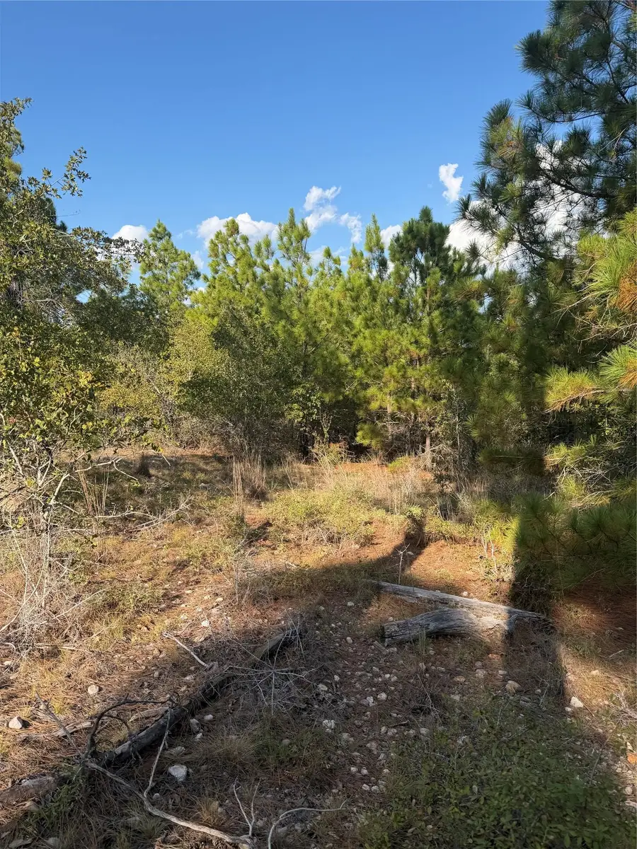 Lot 702 Oahu Ct, Bastrop, TX 78602 - #3