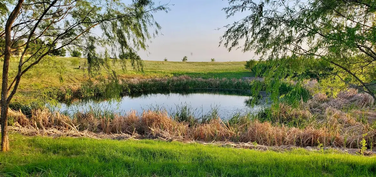 975 County Rd 458 (10 Acres), Coupland, TX 78615 - Image #1