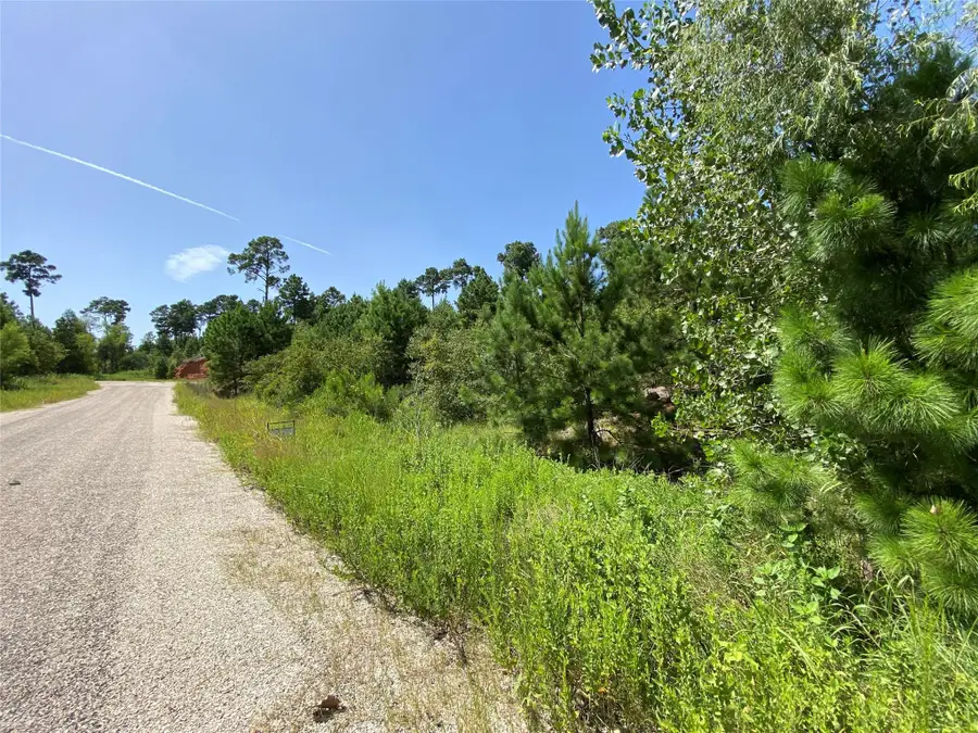 184 Keo Kea Ct, Bastrop, TX 78602 - Image #3