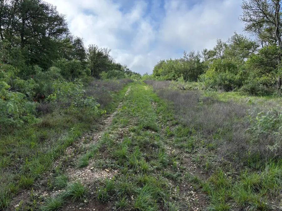 0 County Road 467, Thrall, TX 76578 - #2