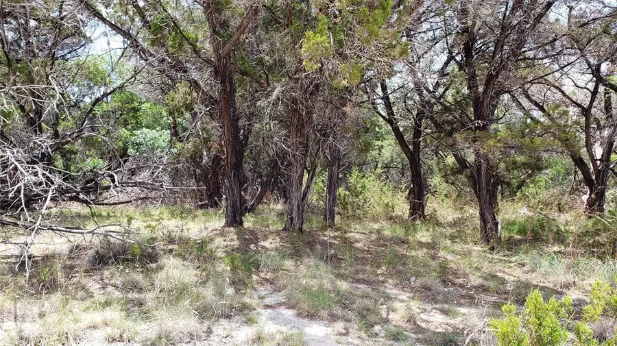 3011 Clark Ave, Lago Vista, TX 78645 - Image #3