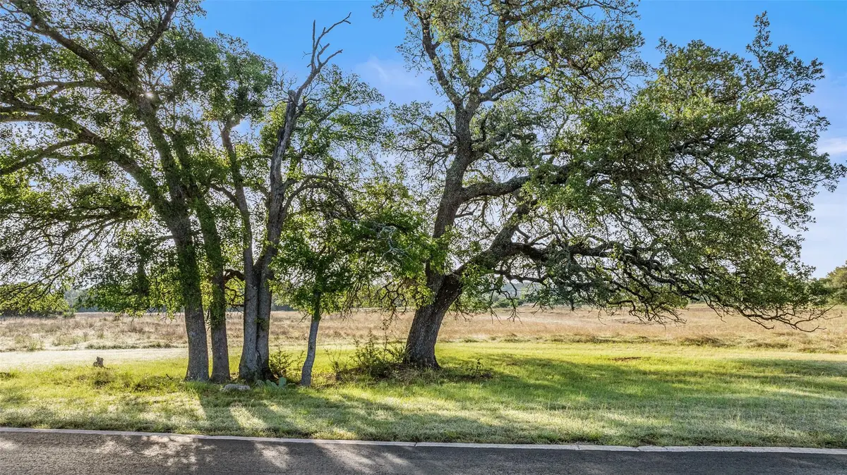 Lot 4 Vista Ridge Dr, Round Mountain, TX 78663 - #1