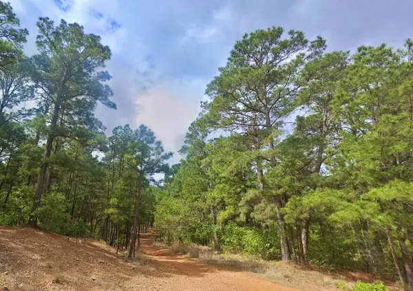 00 Pine Oak Dr, Bastrop, TX 78602