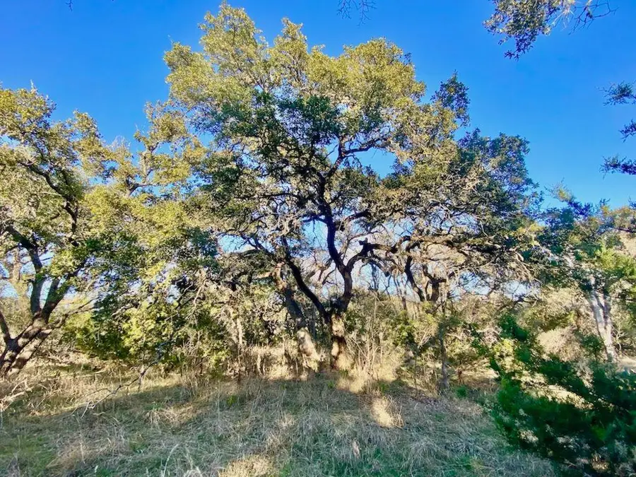 1081 Clark Cv, Buda, TX 78610 - Image #2