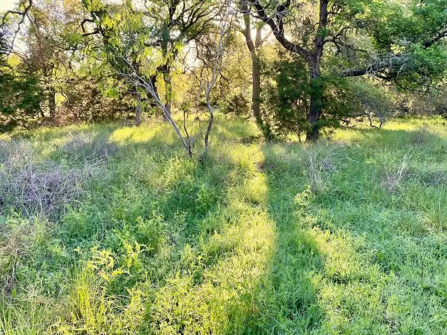 1081 Clark Cv, Buda, TX 78610 - Image #3