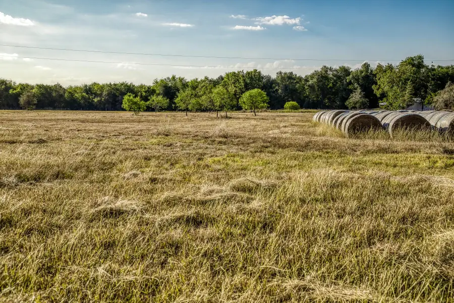 460 County Road 328, Caldwell, TX 77836 - #2
