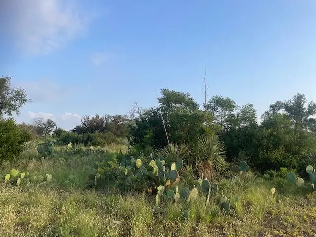 Lot 23 Cr 140, Burnet, TX 78611 - #3