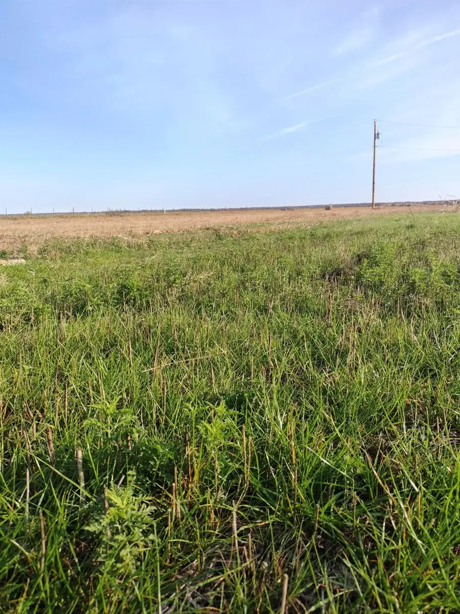 3001 Dolphin Dr, Coupland, TX 78615 - Image #3