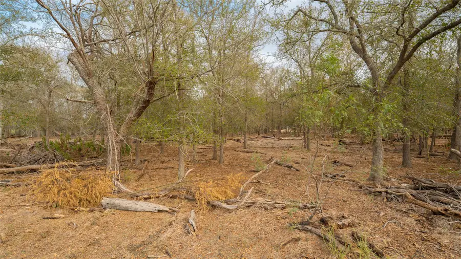 3980 (Tract 5) Fm 3158, Dale, TX 78616 - Image #3