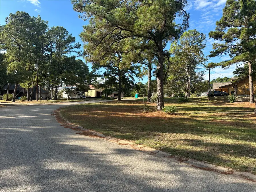 258 Pine View Loop, Bastrop, TX 78602 - Image #2