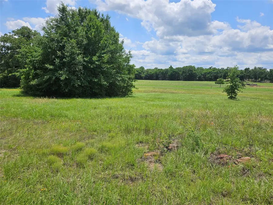 000 TBD Cr 346 Rd, Milano, TX 76556 - #2