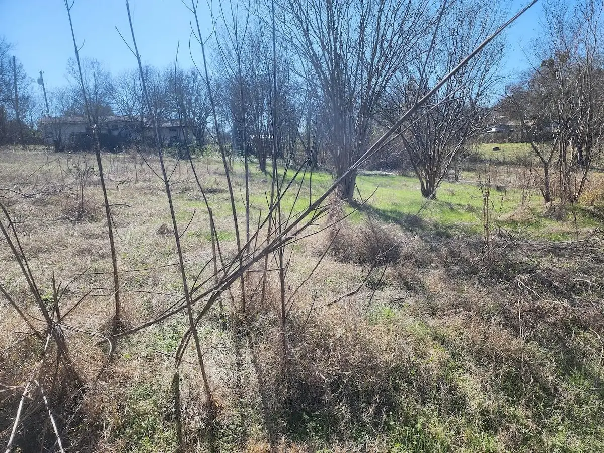 Non at this time E Townes St, Manor, TX 78653 - Image #1