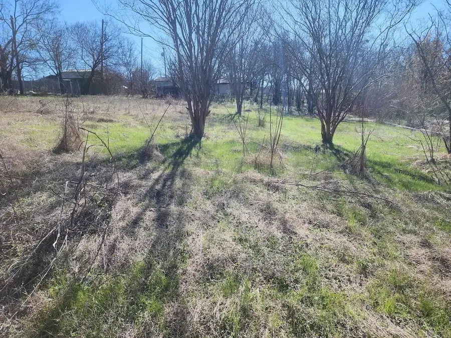 Non at this time E Townes St, Manor, TX 78653 - Image #2