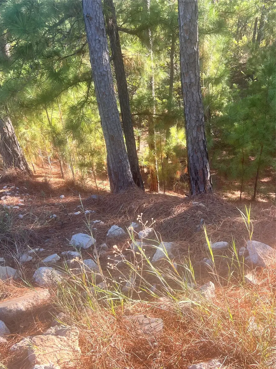 TBD Onini Ct, Bastrop, TX 78602 - #3