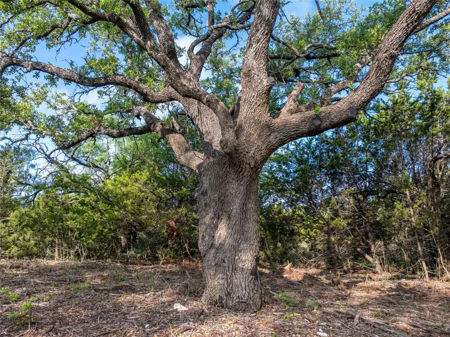 000 Cr103, Burnet, TX 76550 - #3
