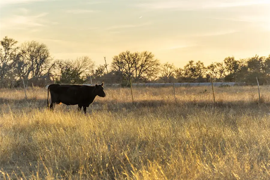 TBD Klein-ahrens Rd, Fredericksburg, TX 78624 - Image #2