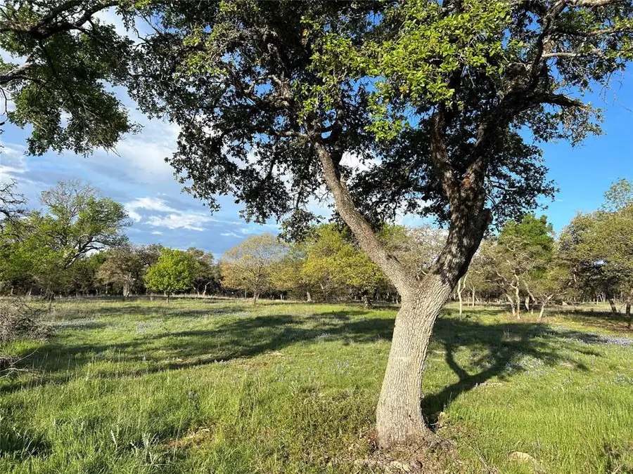 1629 Fm 2843, Florence, TX 76527 - Image #3