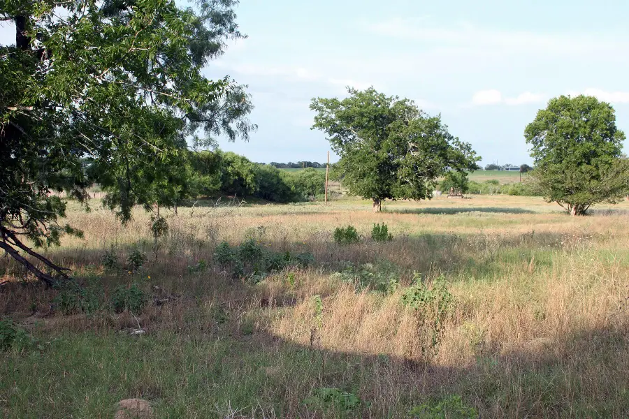 1141 Fm 3158, Dale, TX 78616 - Image #2