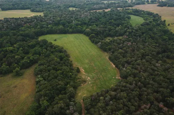 00 St Delight Rd, Paige, TX 78659