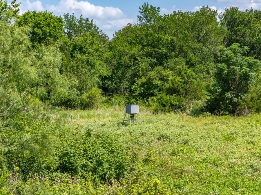 1500 County Road 481, Thrall, TX 76578 - Image #3