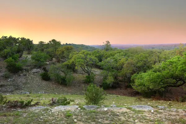 396 Waters View Ct, Dripping Springs, TX 78620