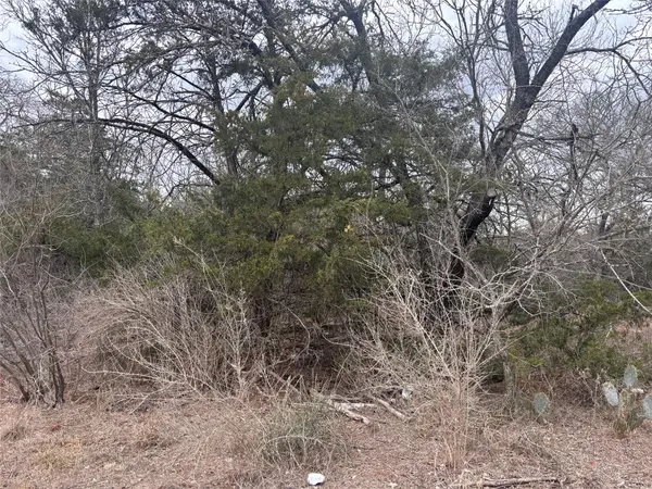 TBD Pearson Rd, Cedar Creek, TX 78616