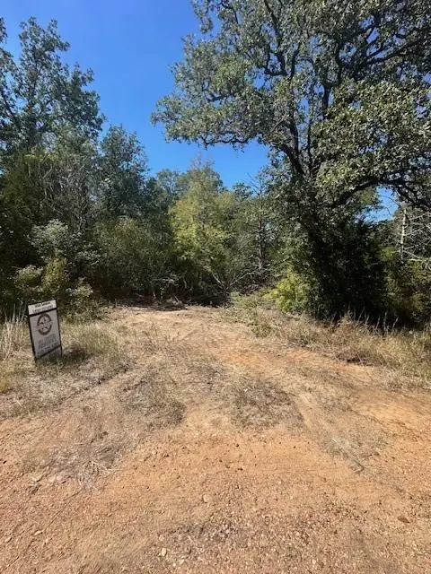 0 Tbd lot 102 and lot 100 Ripple Brook Dr, Bastrop, TX 78602 - Image #3